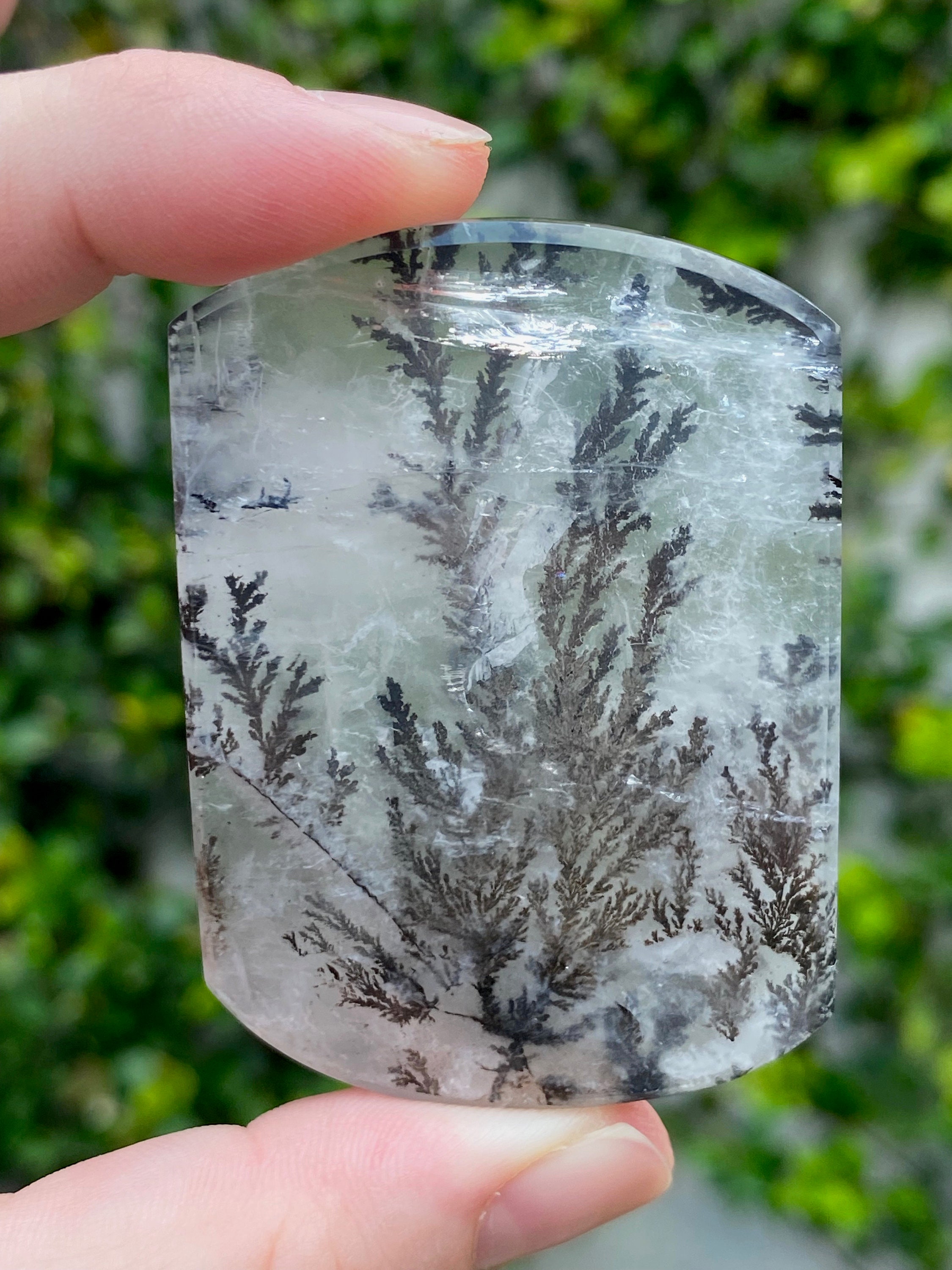 Dendritic Quartz Crystal Free Form Dendrite in Quartz Etsy