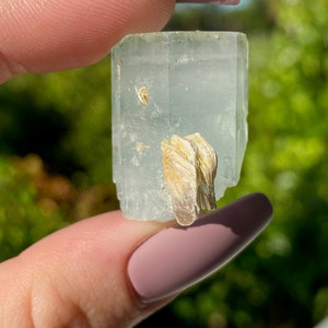 May include: A light blue aquamarine crystal with a clear, glassy texture. The crystal has a natural, rough shape and is accented with a small, golden-brown mineral inclusion.