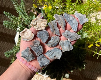 ONE All Natural 1 "-2" Super Druzy Galaxy Calcedonia Specimen