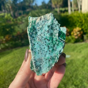 All Natural Druzy Blue Chrysocolla with Fibrous Malachite Specimen