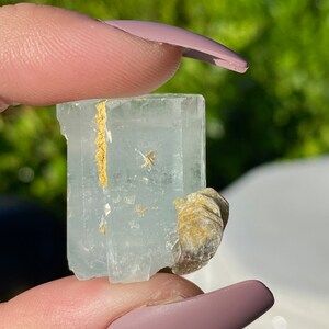 May include: A light blue aquamarine crystal with a natural, raw, and rough texture. The crystal has a clear, glassy appearance and is accented with a small piece of brown mica.