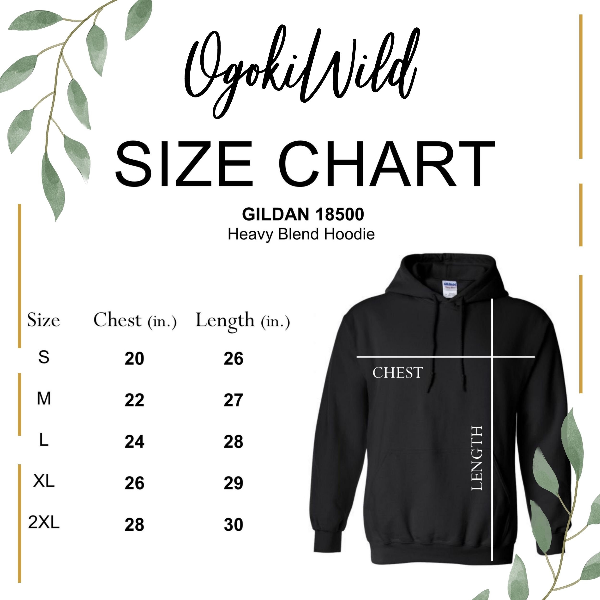 Ojibwe Native American Hoodie, Indigenous Owned Shops, Gift for