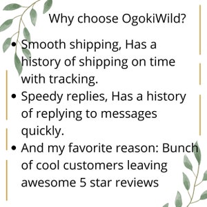 May include: Text on a white background with green leafy vines on the sides. The text reads: "Why choose OgokiWild? &bull; Smooth shipping, Has a history of shipping on time with tracking. &bull; Speedy replies, Has a history of replying to messages quickly. &bull; And my favorite reason: Bunch of cool customers leaving awesome 5 star reviews"