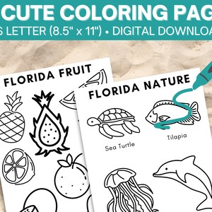 Printable Florida Coloring Pages for Kids | 20 Pages With Beach, Nature ...
