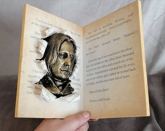 Book nook Snape Always