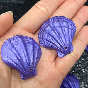 Könnte beinhalten: Zwei glänzende, violette Jakobsmuscheln werden in einer Hand gehalten. Die Muscheln haben eine geriffelte Textur und ein kleines Loch in der Nähe der Oberseite. Weitere Muscheln sind im Hintergrund zu sehen.