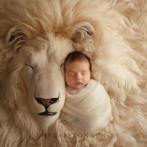 May include: A newborn baby sleeping peacefully in a white swaddle, nestled against a fluffy white lion head prop. The baby's eyes are closed and their face is serene.