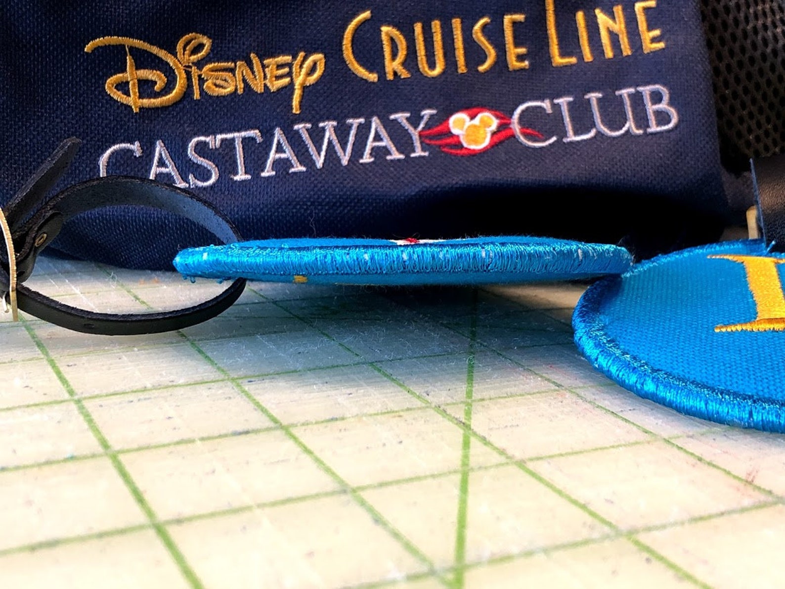 disney cruise line luggage