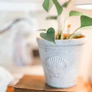 May include: A potted plant with green leaves in a white ceramic pot with a seashell design. The pot is sitting on a stack of old books.