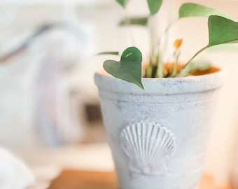 VINTAGE SEED POT - Scallop Shell