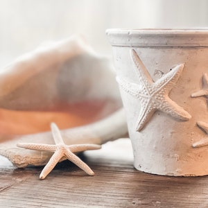 May include: A white ceramic pot decorated with raised starfish, alongside a natural seashell and a single starfish. The pot has three starfish designs and is set on a wooden surface, evoking a coastal theme.
