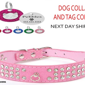 Leather Collar and Pet Tag Set