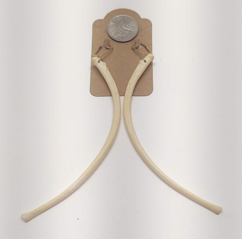 Coyote Rib Bone Earrings