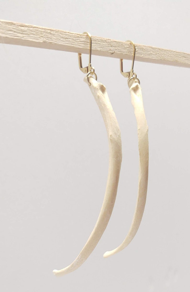 Coyote Rib Bone Earrings