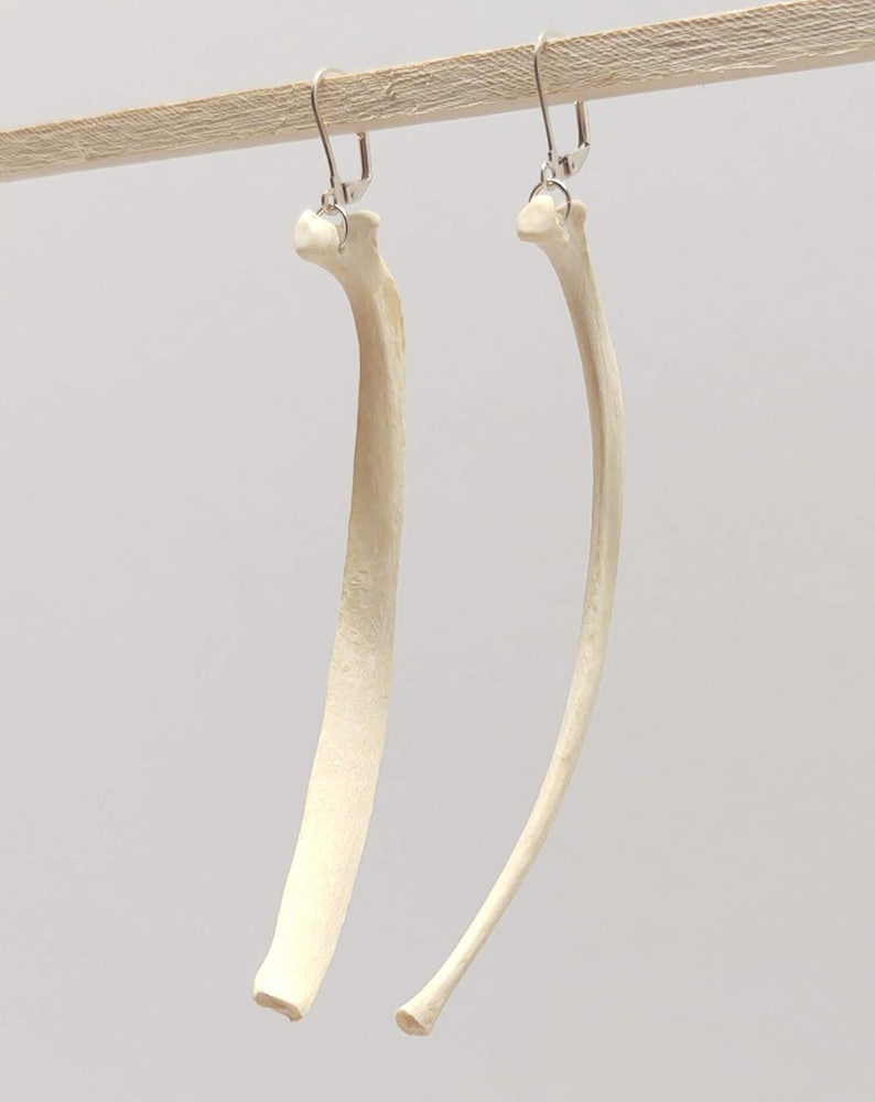 Coyote Rib Bone Earrings