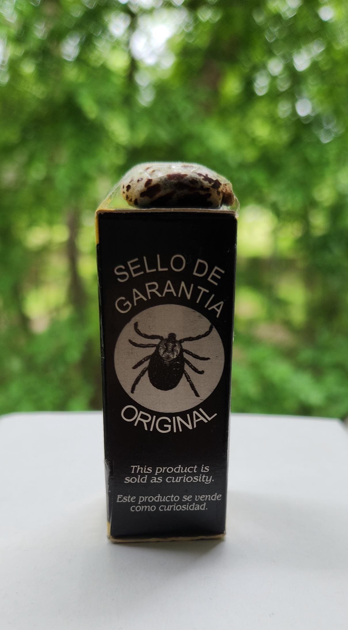 El Pirata Garrapata De Juan Muñoz Martín En PDF, MOBI Y EPUB Gratis