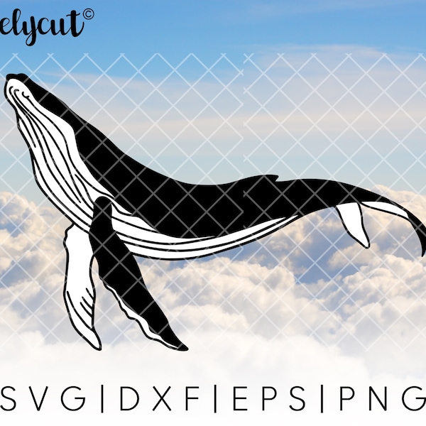 Whale SVG Cut File Template for Cricut, Silhouette, Cutting Machines, Humpback Whale Clipart, Sea Animal Layered SVG, Ocean Whale PNG