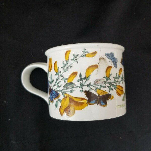 Portmeirion Botanic Garden Tea Cup Drum Coffee Mug 7 oz Cytisus Scoparius Mint