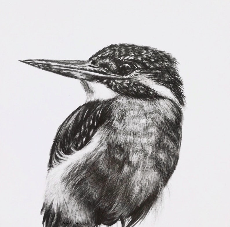 Kingfisher art print