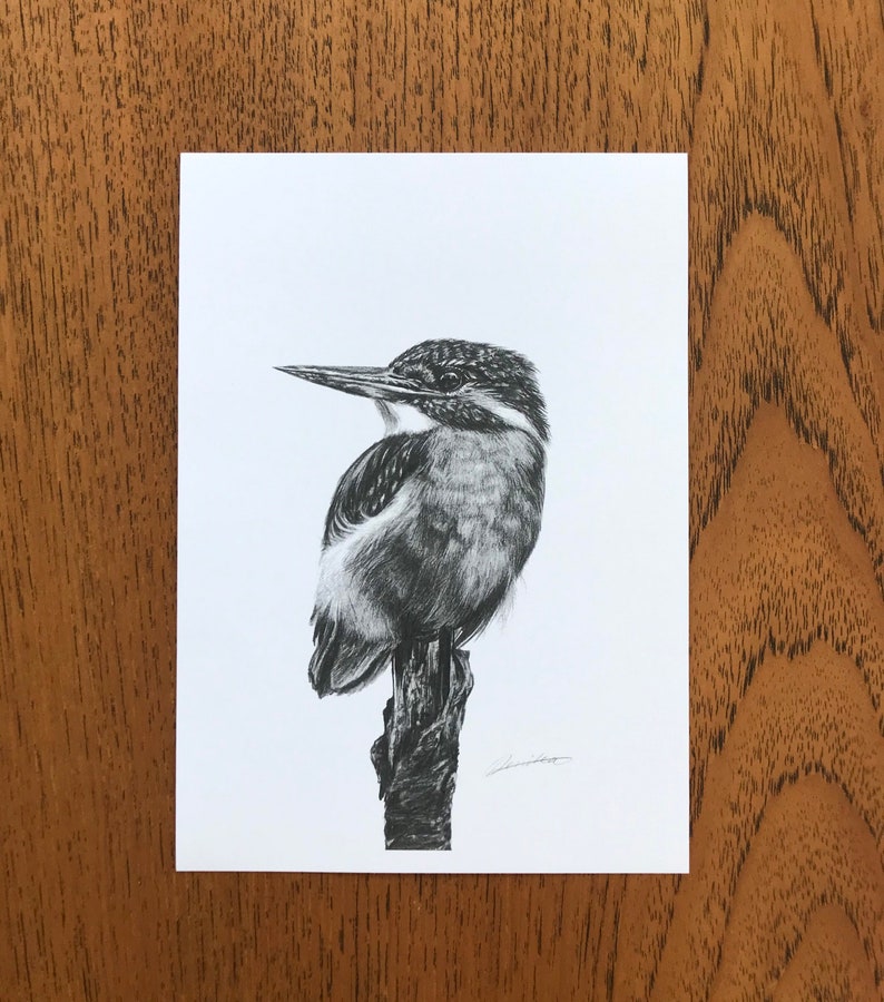 Kingfisher art print