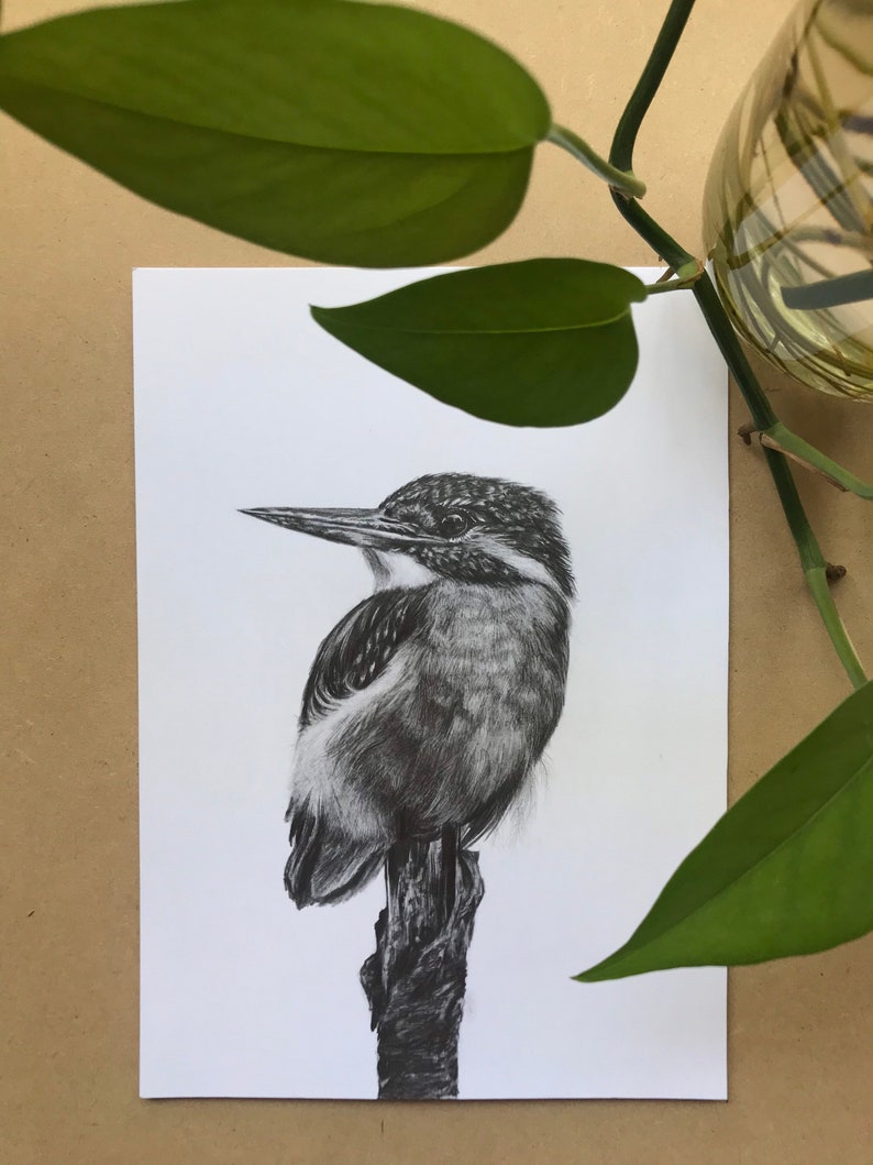 Kingfisher art print