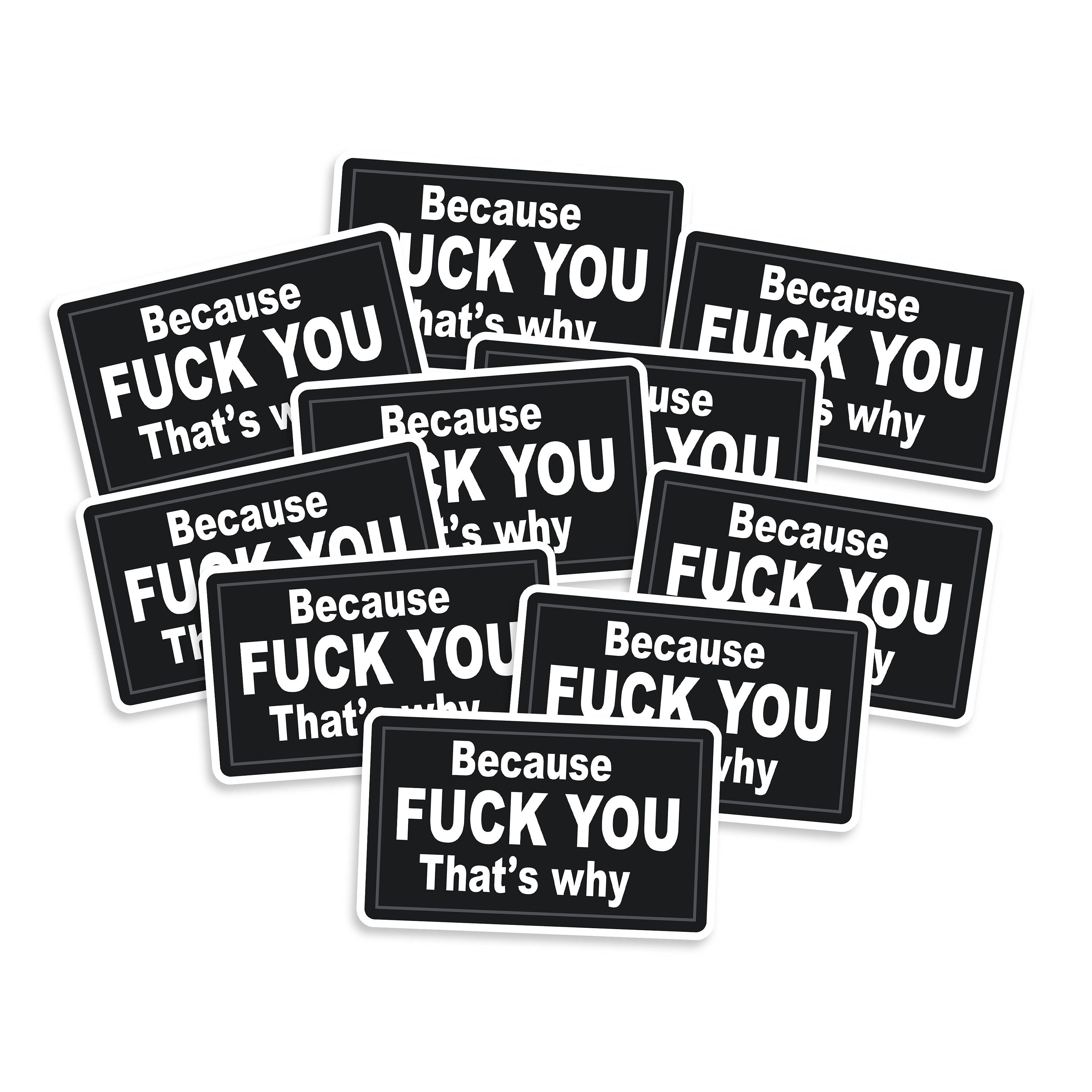 Because Fuck You That S Why Vinyl Sticker Multi Packs Etsy
