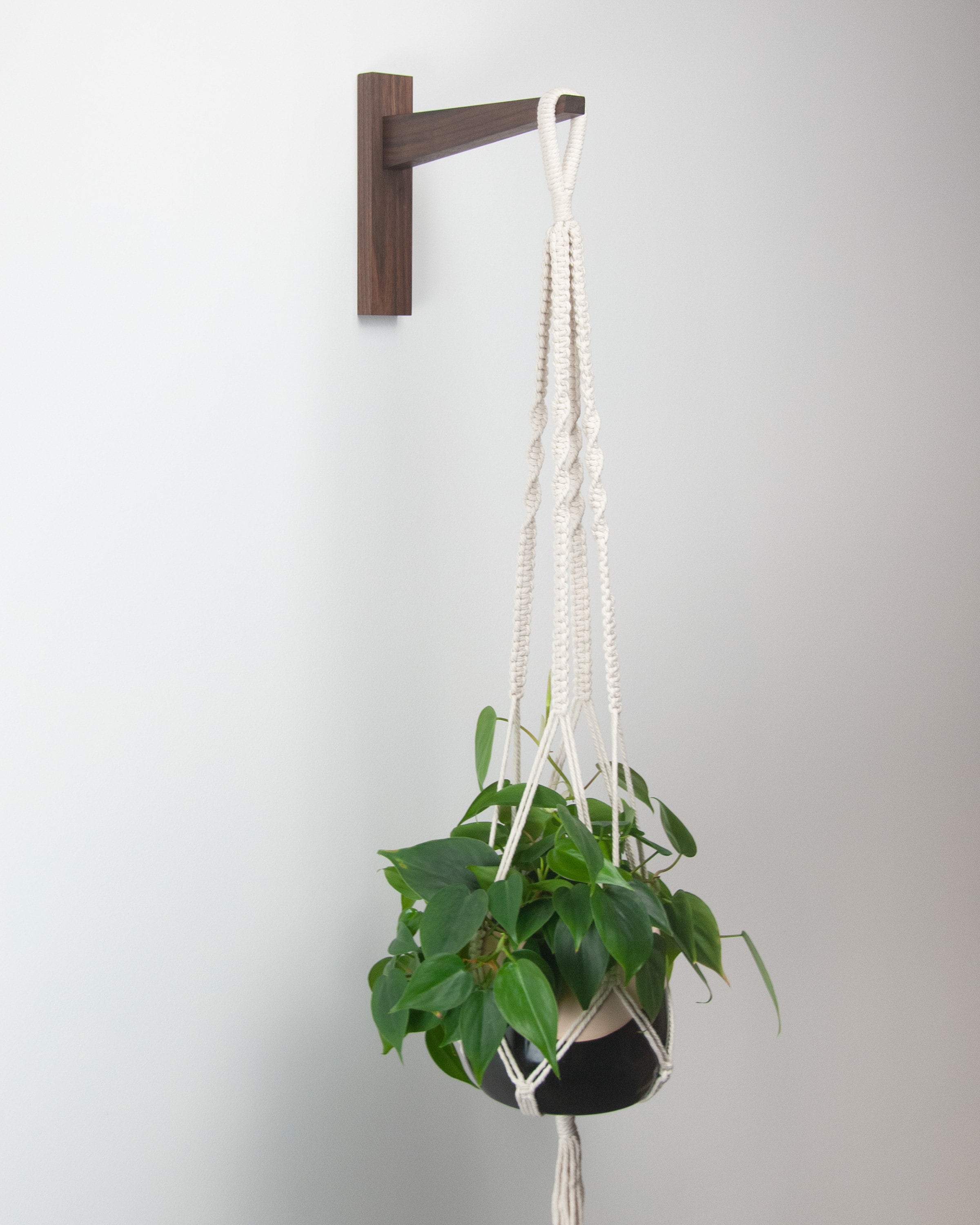 Wood Plant Hanger Wall Plant Hook Made in Vermont Etsy