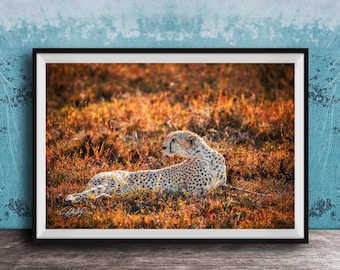 Kenya Safari Cheetah Wall Art: Bright Boho Animal Print