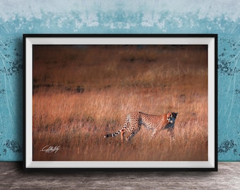 Cheetah Wall Art: Bold Black and White - Maasai Inspired Print