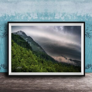 Alaska Landscape Print, Mendenhall Glacier, Misty Forest (Artist Signed)