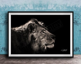 Lion Family Wall Art: African Wildlife Canvas (Black and White)