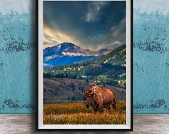Bison Canvas Print: Rustic Western Art - Large Brown Wildlife Decor