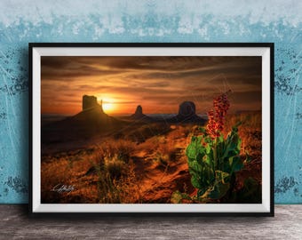 Monument Valley Landscape Print: Desert Dock Flower (Rustic Wall Art)