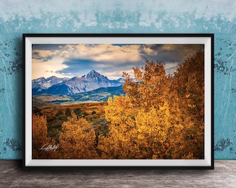 San Juan Mountains Wall Art: Aspen Grove - Autumn Landscape Print