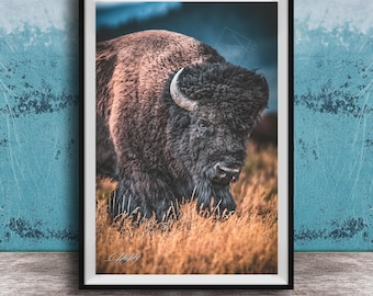 Buffalo Wall Decor - Rustic Cabin Style Wildlife Print
