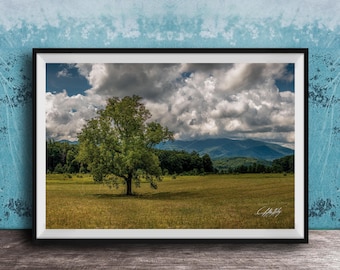 Lone Tree Wall Art: Cades Cove Smoky Mountains - Rustic Nature Decor