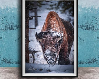 Winter Bison Canvas: Snowy Wildlife Scene, Rustic Wall Art