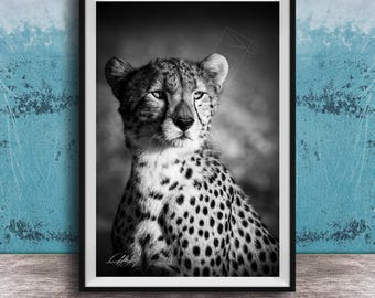 Cheetah Wall Art Print - Bold Black and White Safari Decor