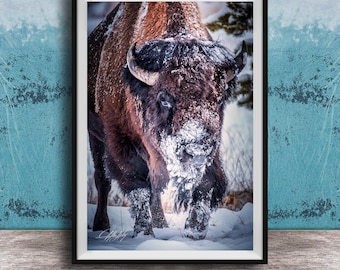 American Bison Wall Hanging - Snowy Plains Rustic Decor