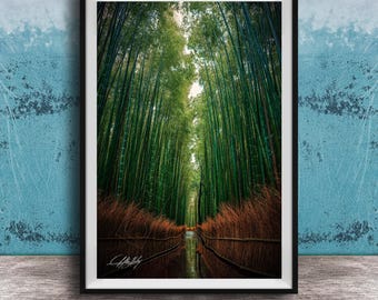 Misty Bamboo Forest Wall Art: Arashiyama Morning Fog Scene