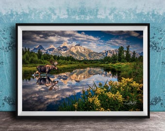 Bull Moose Wall Art Print: Grand Teton Sunrise at Schwabacher Landing