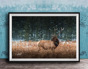 Rustic Bull Elk Poster: Rocky Ridge Wildlife Wall Art