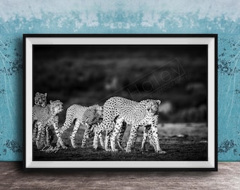 Safari Cheetah Wall Art, Black and White (Kenya Wildlife Print)