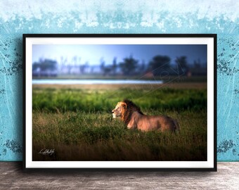 Lion Wildlife Wall Art: Maasai Mara Safari, Vibrant Boho Decor (Special Edition)