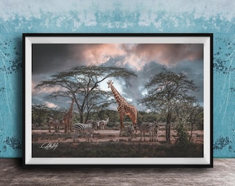 Safari Wall Art - Giraffe and Zebra Scene, Colorful Boho