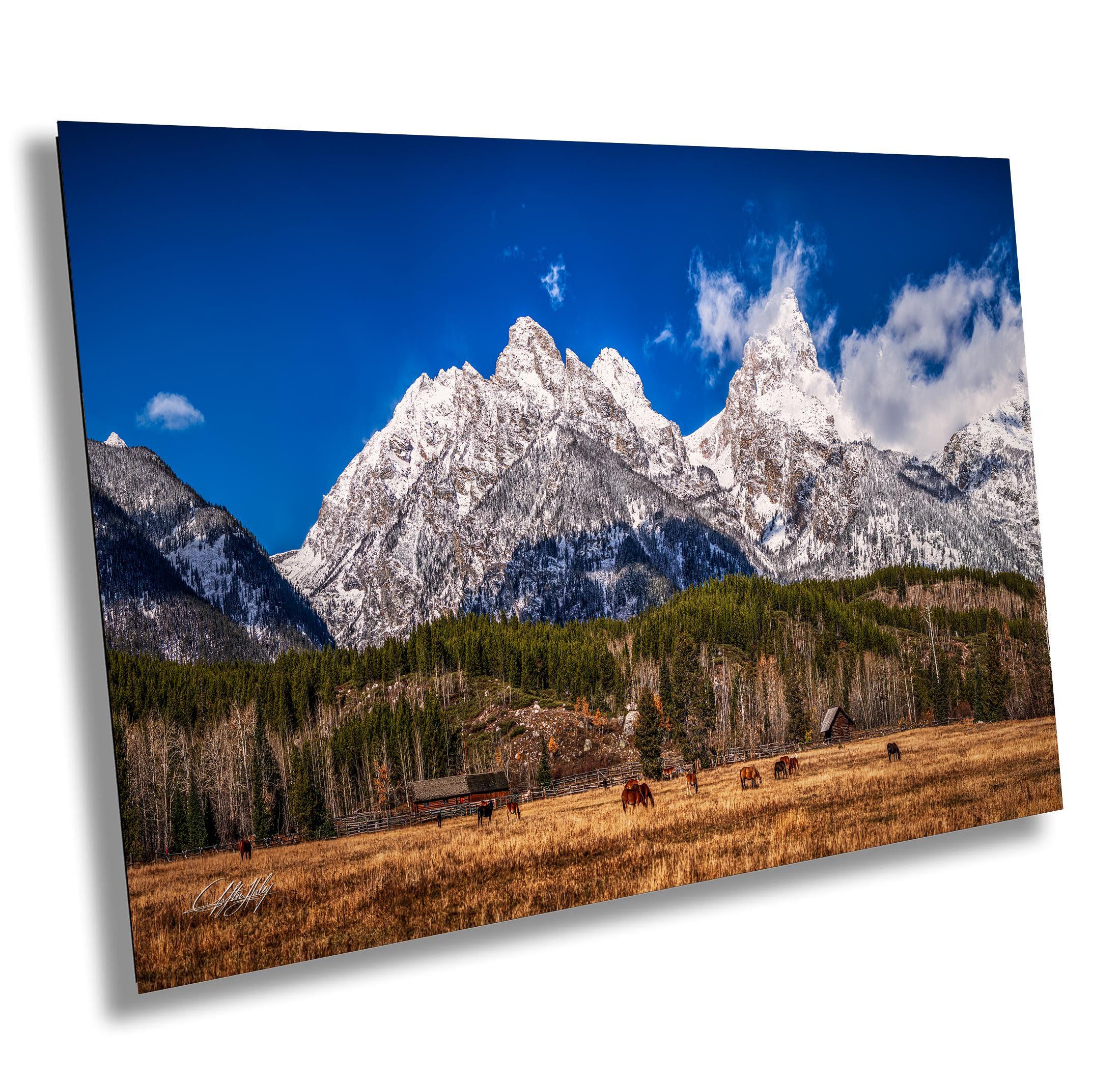 Dude Ranch Grand Teton Print, Jackson Hole Art, Rustic Western Decor, Cowboy Country Scene, Wild Horses Photography, Signed Artwork