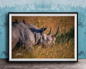 Black Rhino Wall Art: Boho African Safari Print