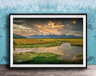 Alaska Scenic | Pine Forest Landscape | Rustic Cabin Wall Decor, Juneau Gift