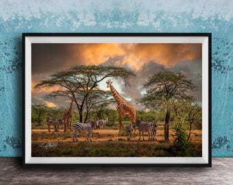 Safari Wall Art - Giraffe and Zebra Scene, Colorful Boho