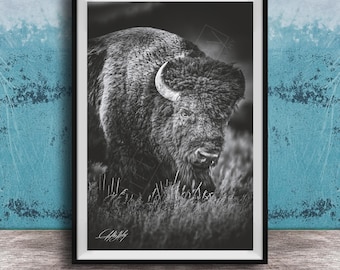 Bison Herd Painting: Rustic Black and White Buffalo (Canvas Print)